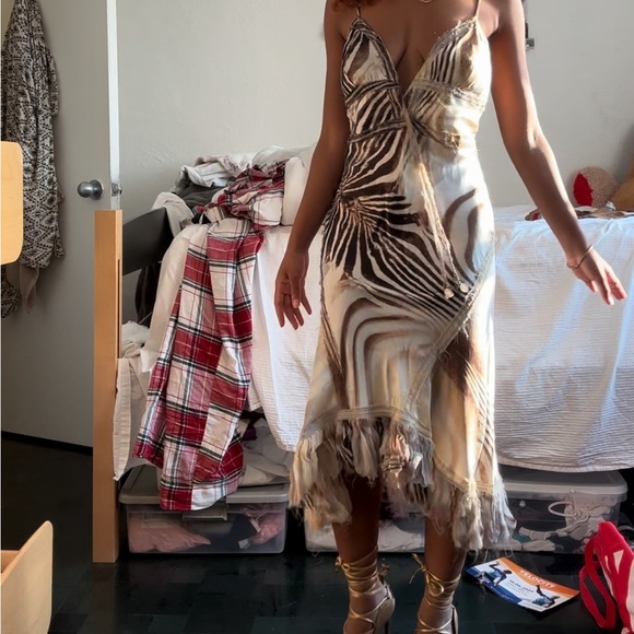 Roberto Cavalli Dresses & Skirts - Roberto Cavalli Zebra Dress Sz medium. Message before buying!!